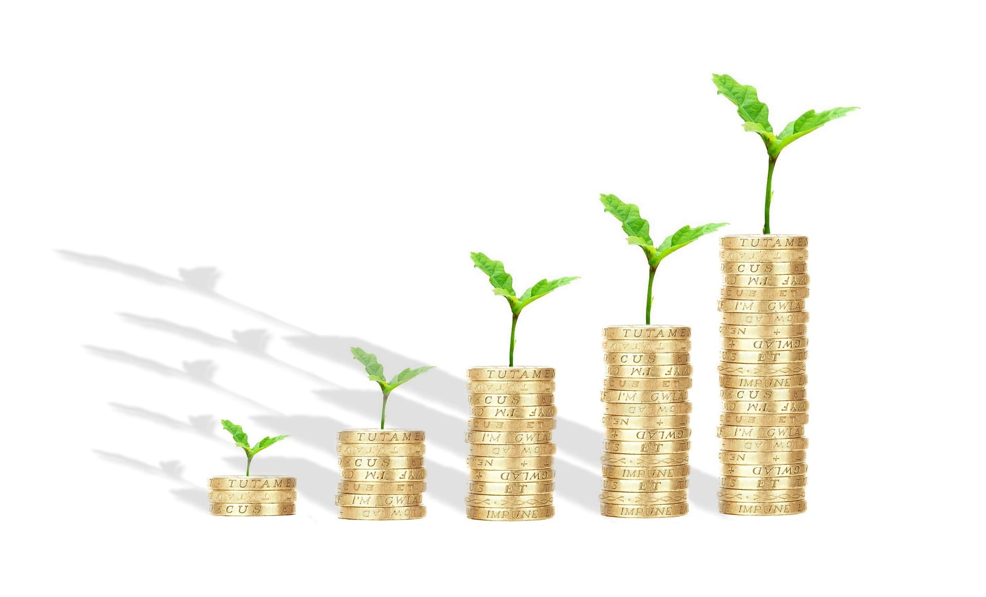 Asset Management